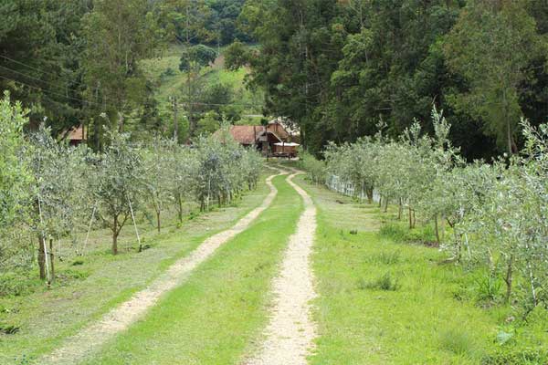 Fazenda Verde